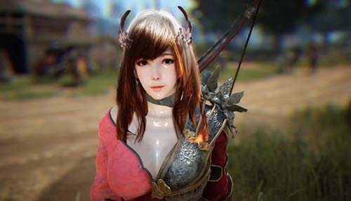 BDO Character Features